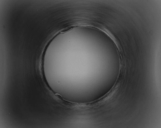 X0000090620909200707171100