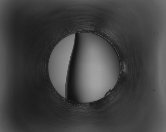X0000090620915200707171059