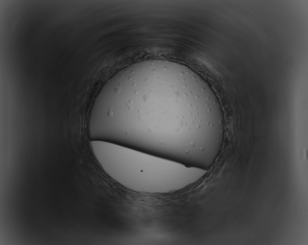 X0000090620917200707171059