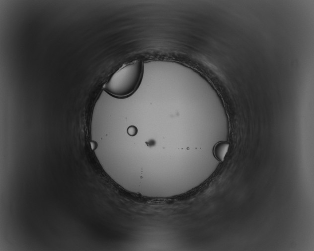 X0000090620918200707171059