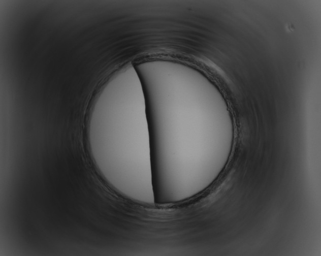 X0000090620921200707171059