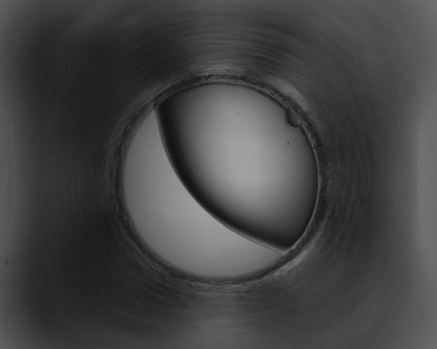 X0000090620922200707171059