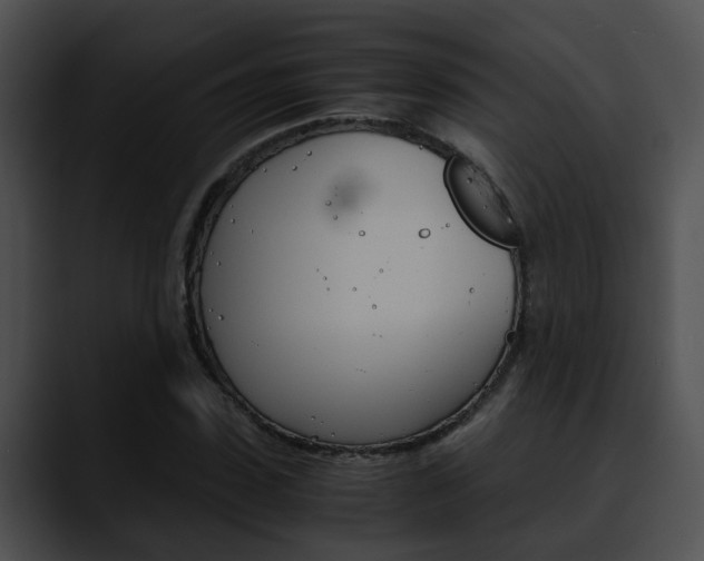 X0000090620923200707171059