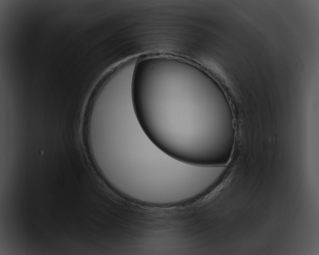 X0000090620924200707171100