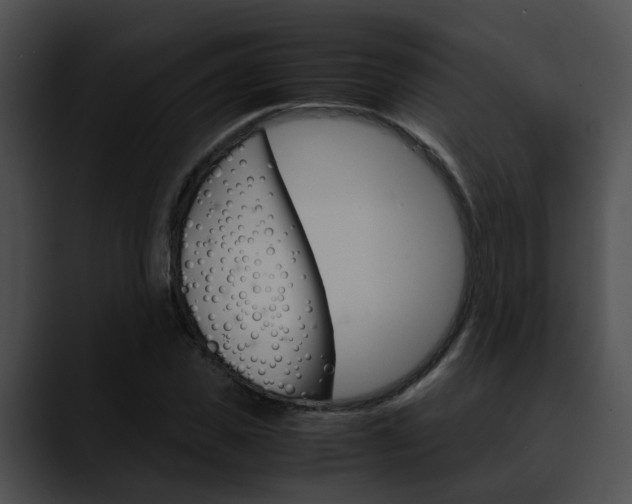 X0000090620925200707171100