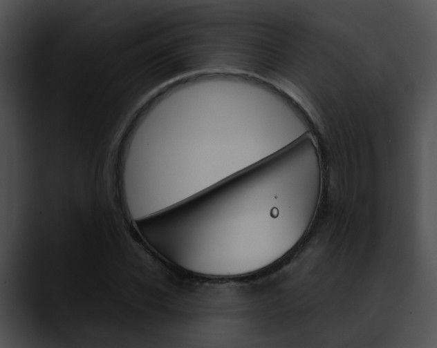 X0000090620926200707171100