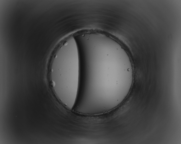X0000090620927200707171100