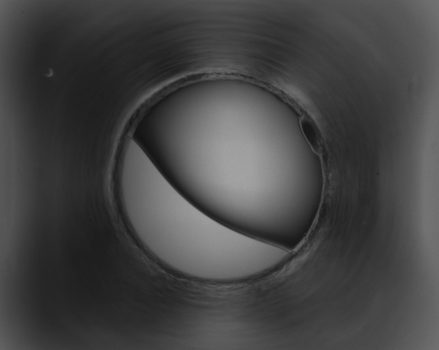 X0000090620928200707171100