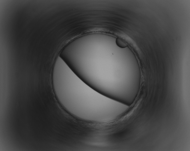 X0000090620937200707171100