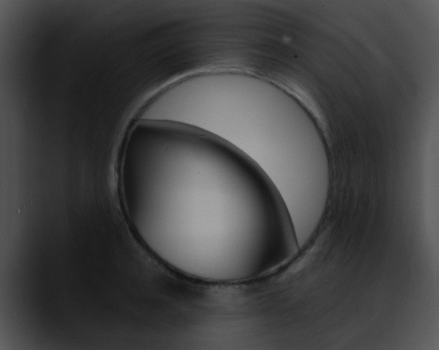 X0000090620944200707171100