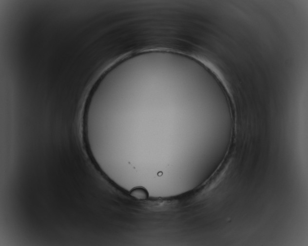 X0000090620949200707171100
