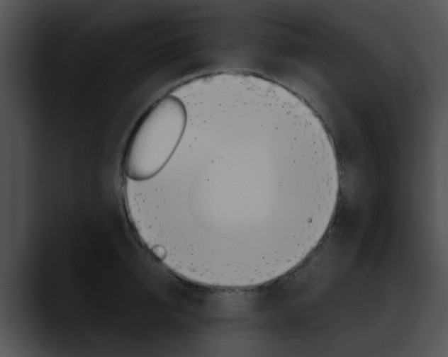 X0000090620950200707171100
