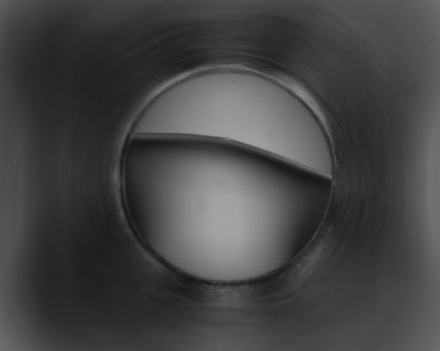 X0000090620951200707171100