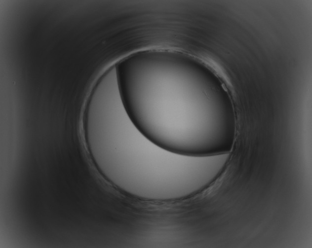 X0000090620952200707171100