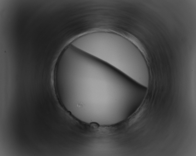X0000090620958200707171100