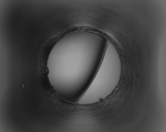 X0000090620967200707171059