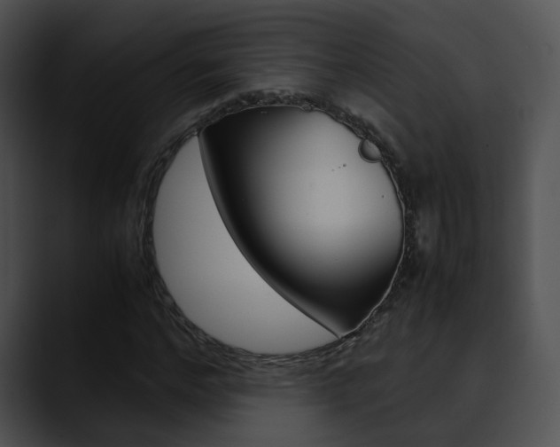 X0000090620968200707171059