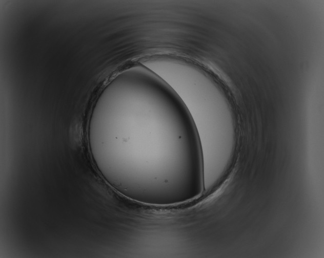 X0000090620969200707171059