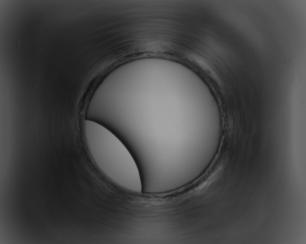 X0000090620970200707171059