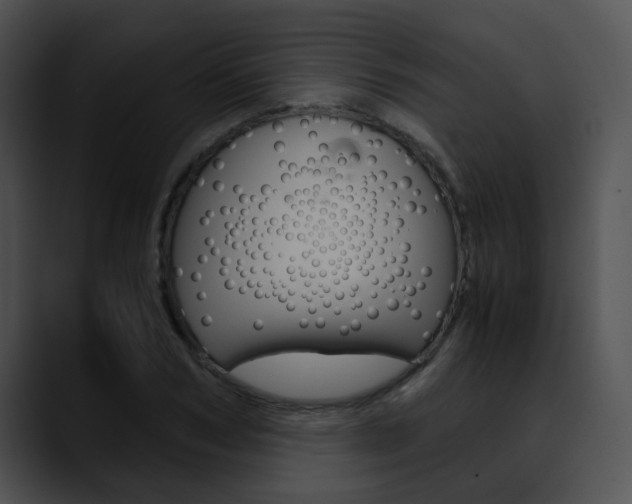 X0000090620978200707171059