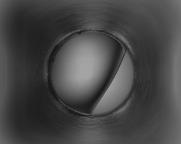 X0000090620981200707171059