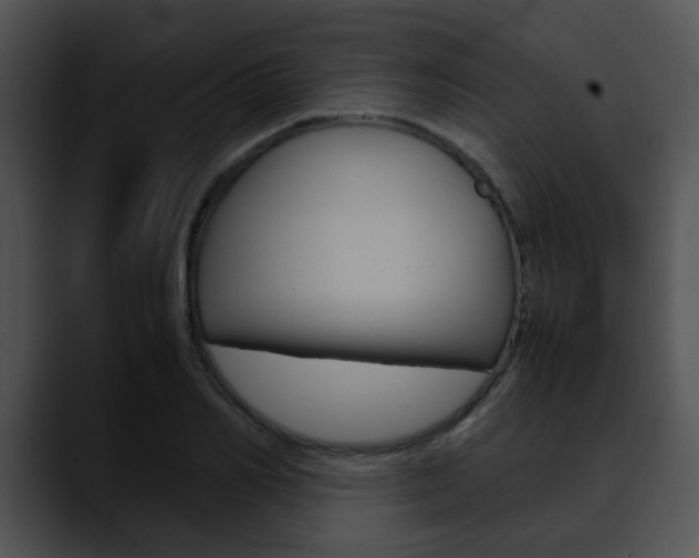 X0000090620982200707171059