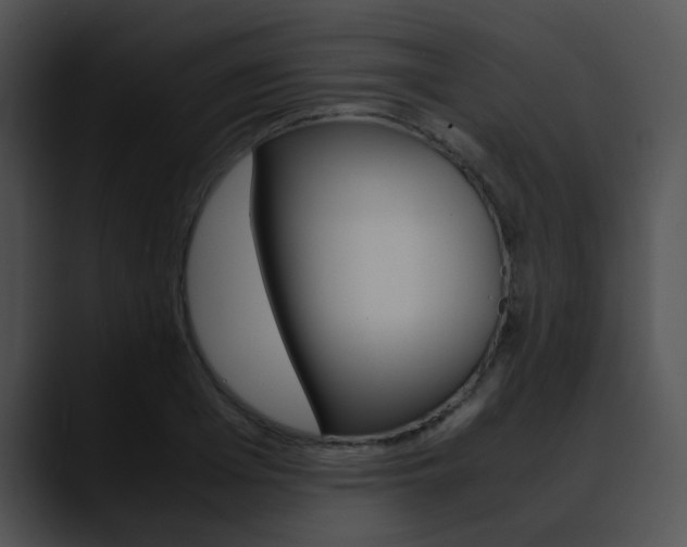 X0000090620985200707171059