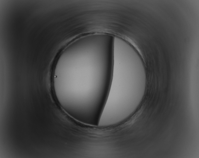 X0000090620987200707171059