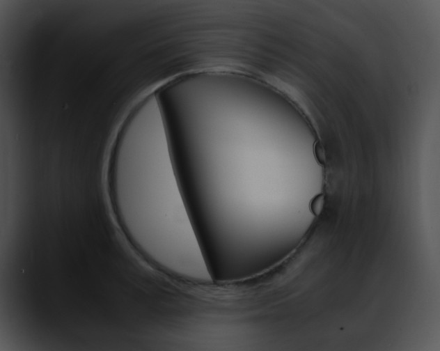 X0000090620995200707171059