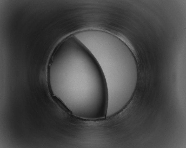 X0000090620996200707171059