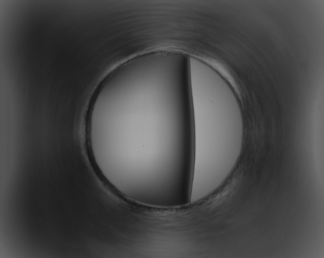 X0000090620999200707171059