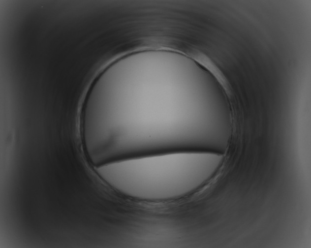 X0000090621004200707171059