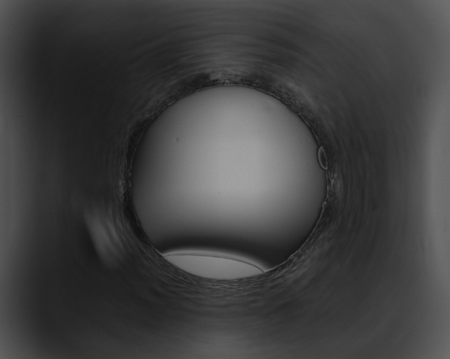 X0000090621012200707171058