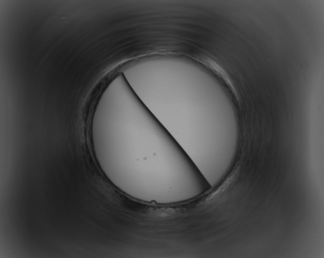 X0000090621019200707171058