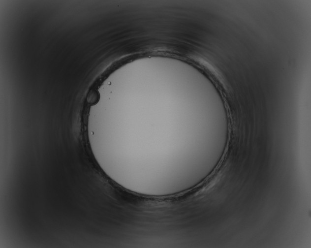 X0000090621023200707171058
