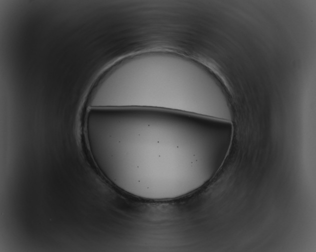 X0000090621024200707171058