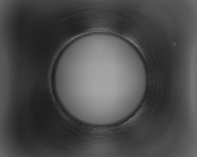 X0000090621030200707171059
