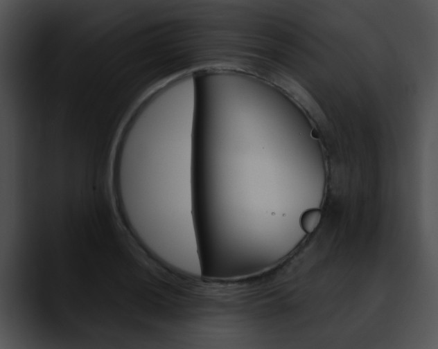 X0000090621036200707171059