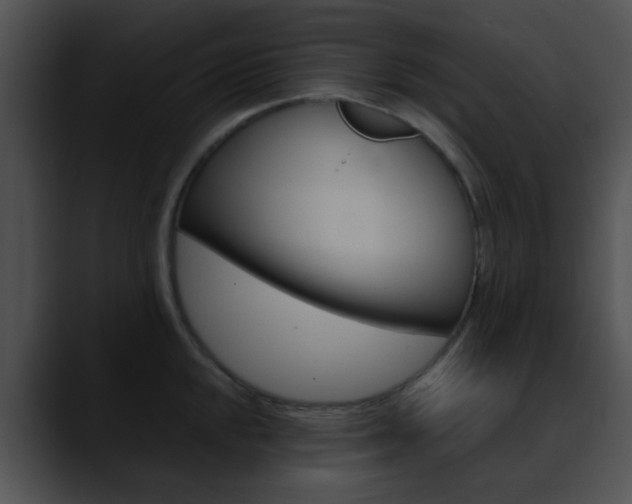 X0000090621048200707171059
