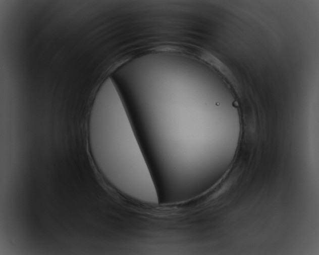 X0000090621049200707171059