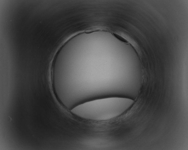 X0000090621055200707171059