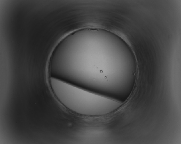 X0000090621056200707171059