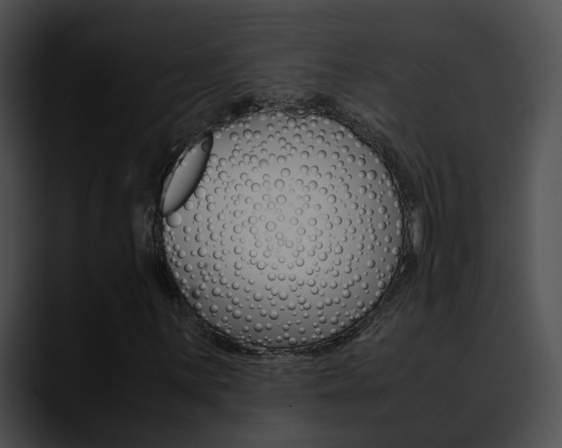 X0000090621059200707171058