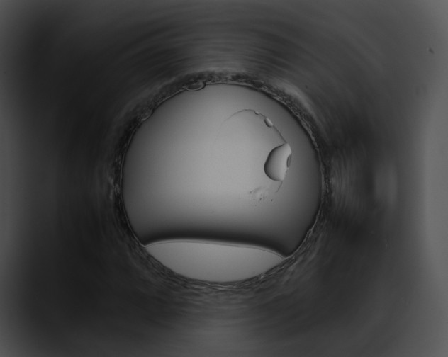 X0000090621064200707171058