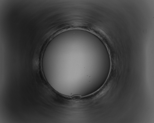 X0000090621065200707171058