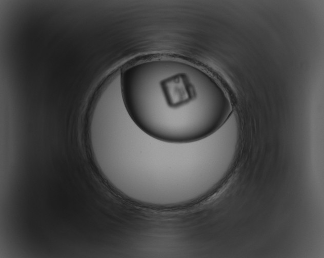 X0000090621069200707171058