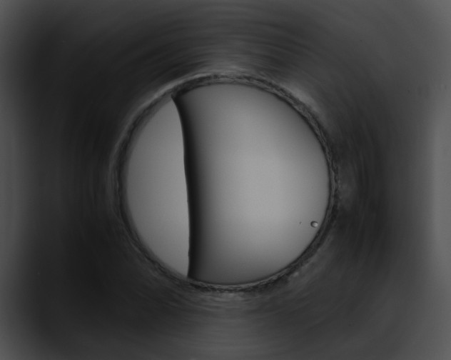 X0000090621070200707171058