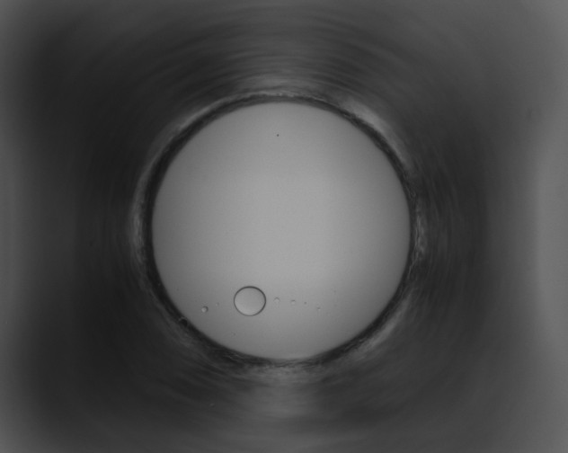 X0000090621074200707171058