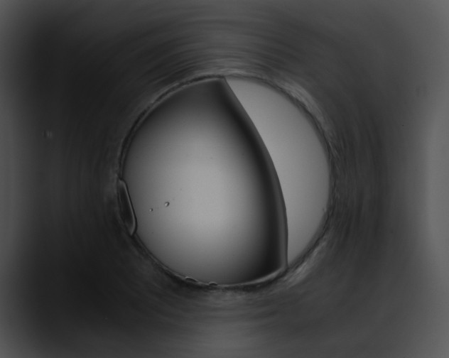 X0000090621081200707171058