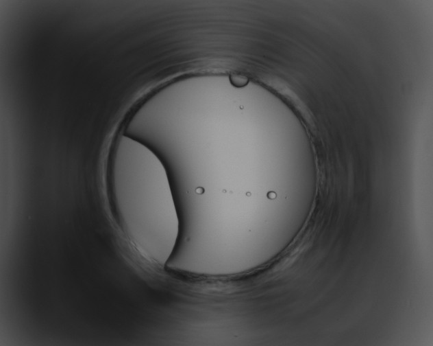 X0000090621083200707171058